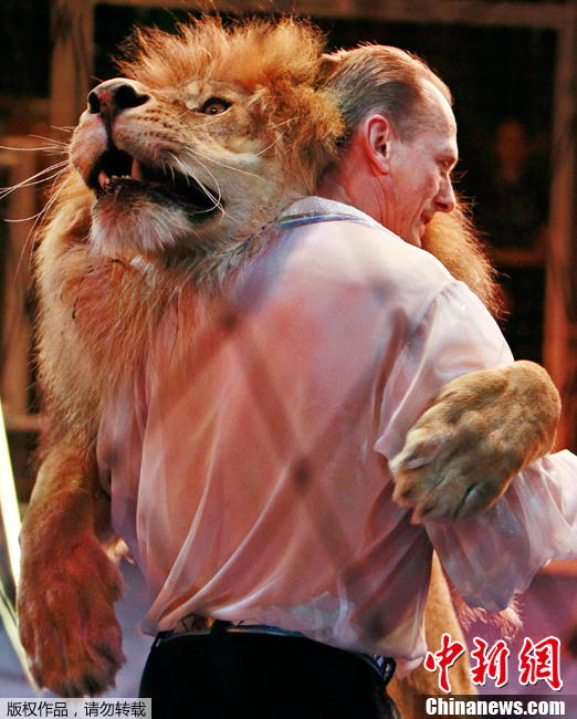 当地时间2013年6月1日，乌克兰基辅马戏团，驯兽师Pinko把狮子拥抱。