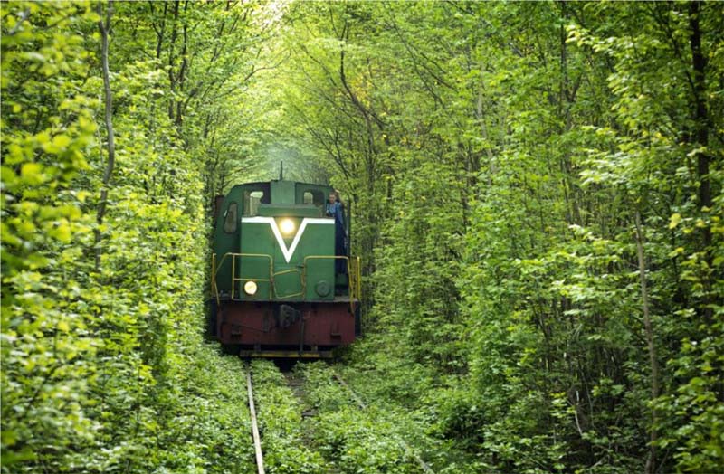 【无处不美好】乌克兰绿色火车道