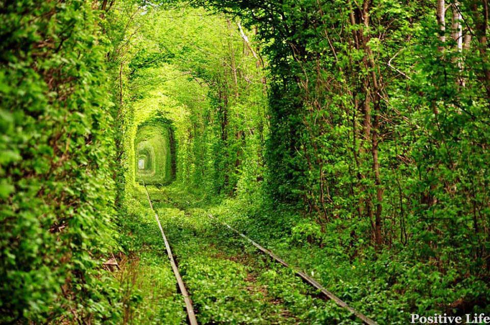 【无处不美好】乌克兰绿色火车道