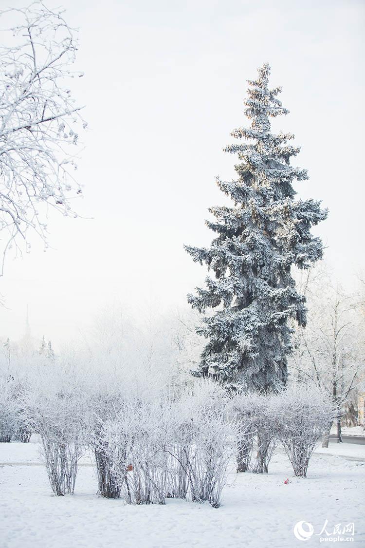 莫斯科连夜降雪 街头呈现雾凇美景（人民网记者 屈海齐 摄）
