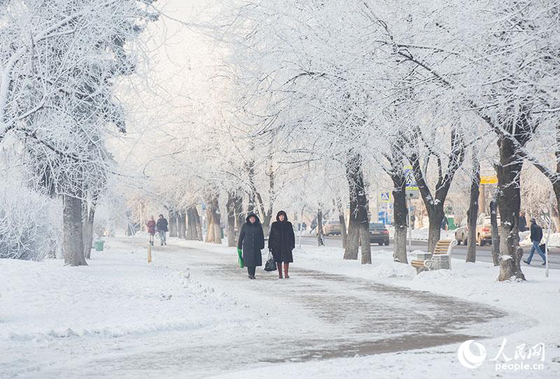 莫斯科连夜降雪 街头呈现雾凇美景（人民网记者 屈海齐 摄）