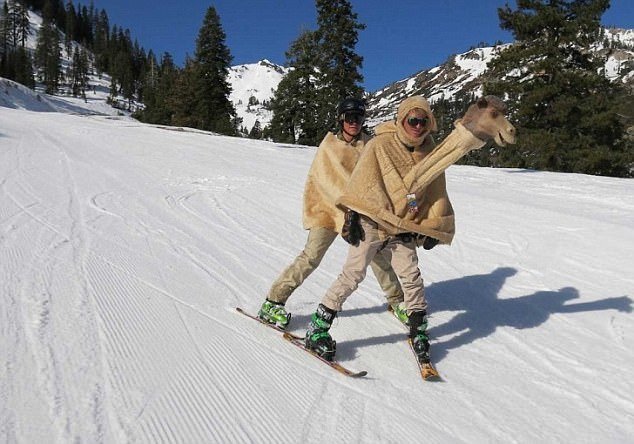 滑雪也能如此搞笑【5】